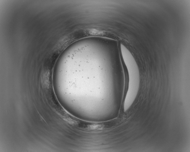 X0000080770319200701051308