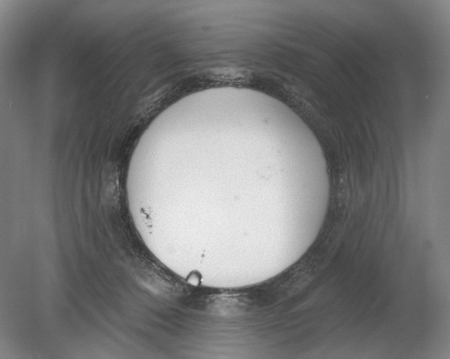 X0000080770320200701051308