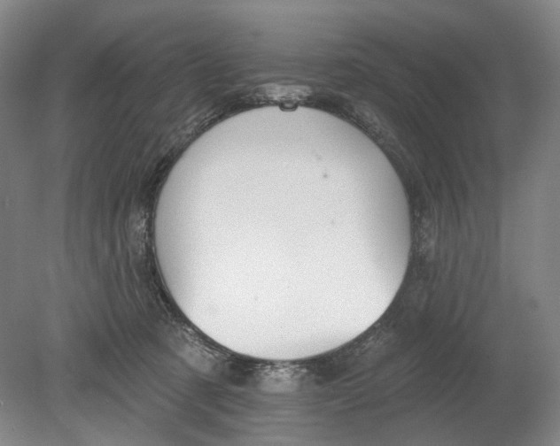 X0000080770321200701051308