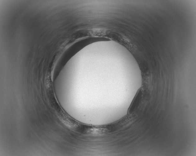 X0000080770323200701051308