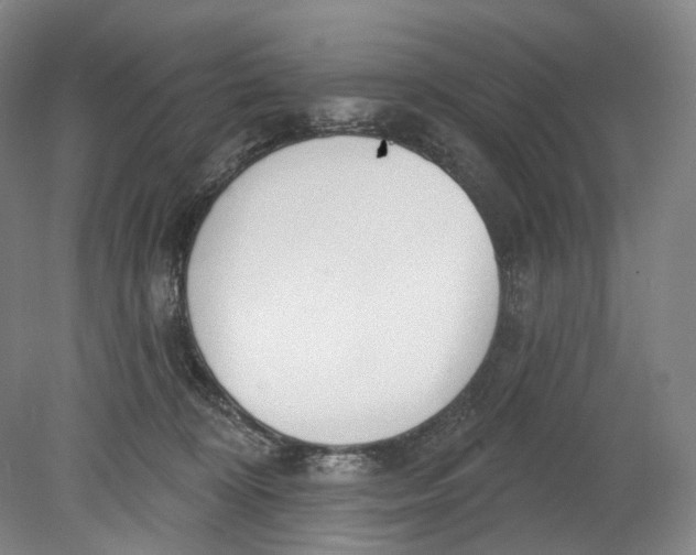 X0000080770324200701051308