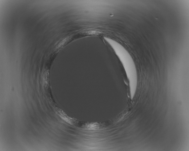 X0000080770325200701051308