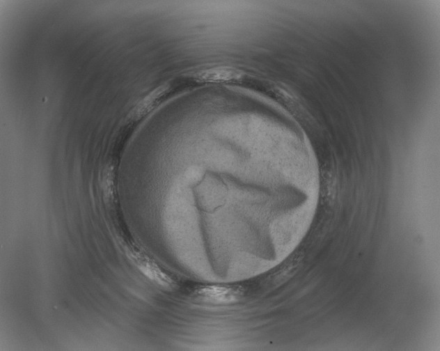 X0000080770326200701051308