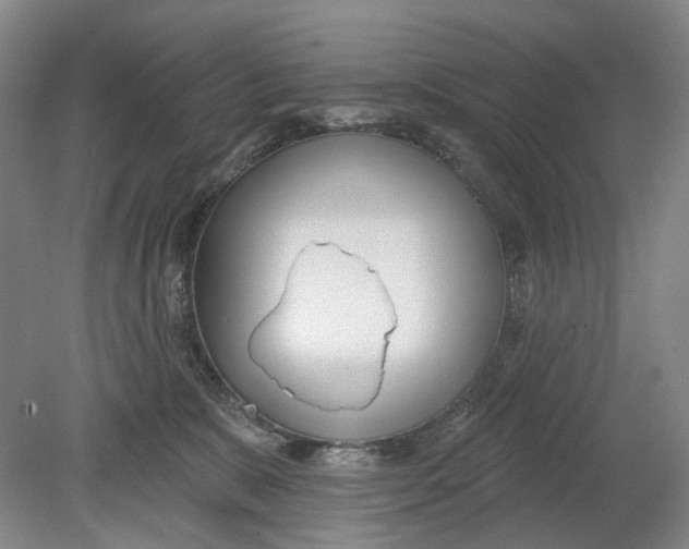 X0000080770327200701051308