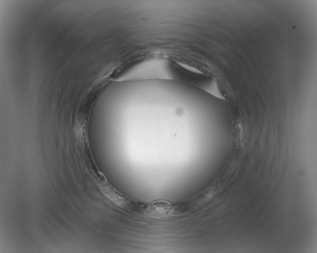 X0000080770329200701051308