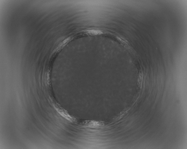 X0000080770330200701051308