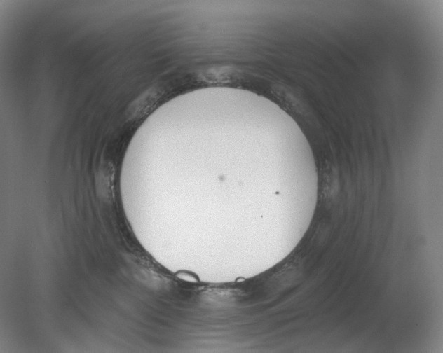 X0000080770332200701051308