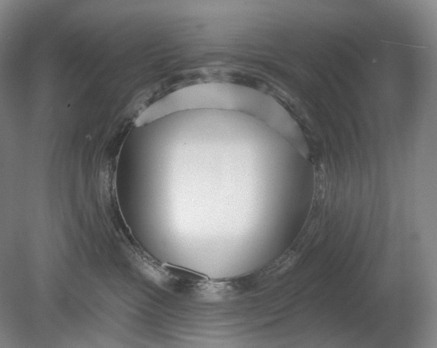 X0000080770333200701051308