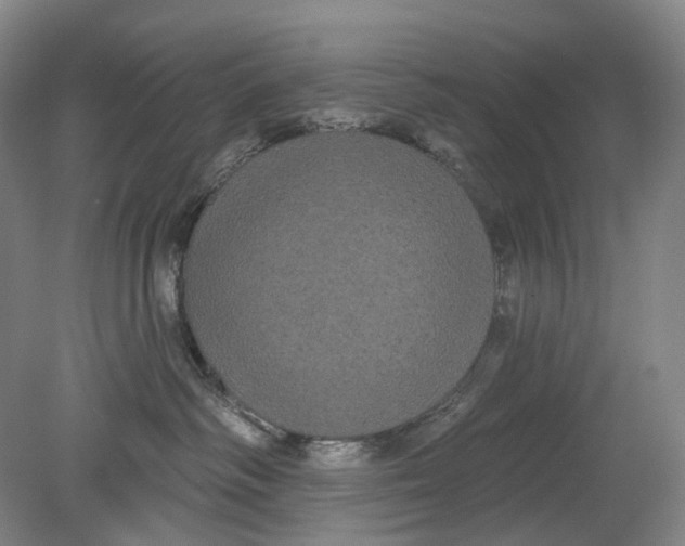 X0000080770334200701051308