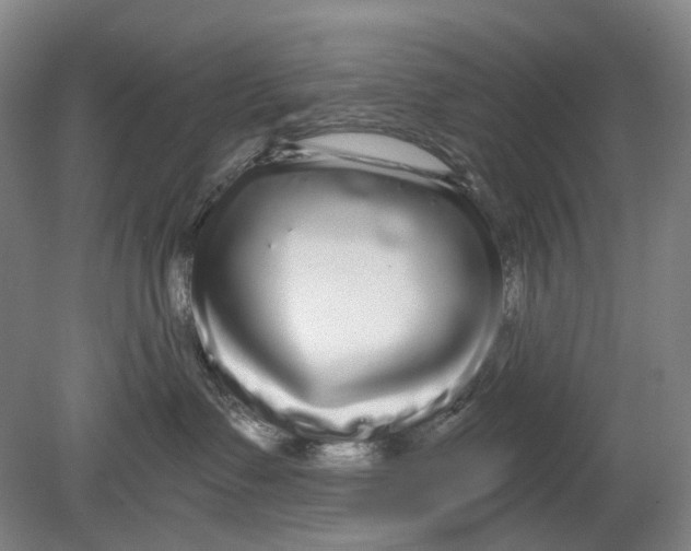 X0000080770335200701051308