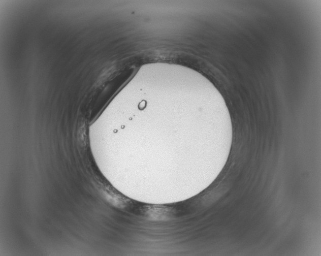 X0000080770336200701051308