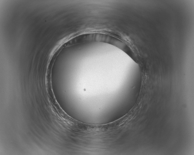 X0000080770340200701051307