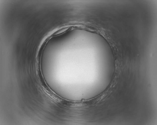 X0000080770342200701051307