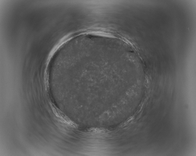 X0000080770343200701051307