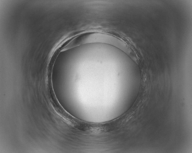 X0000080770344200701051307