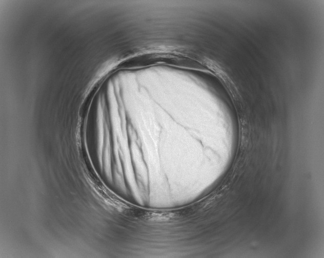 X0000080770346200701051307