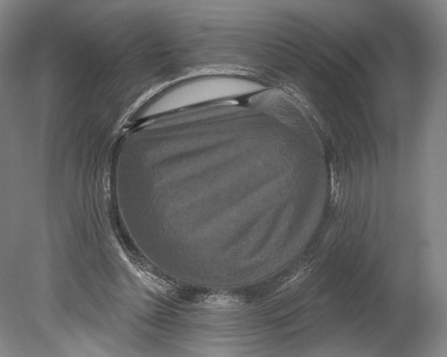 X0000080770348200701051307