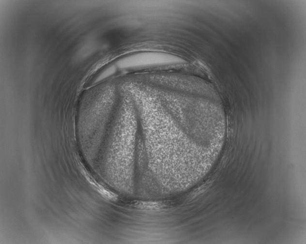 X0000080770349200701051307