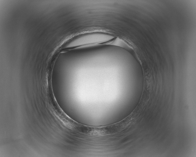 X0000080770350200701051307