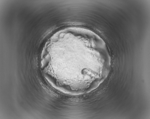 X0000080770351200701051307