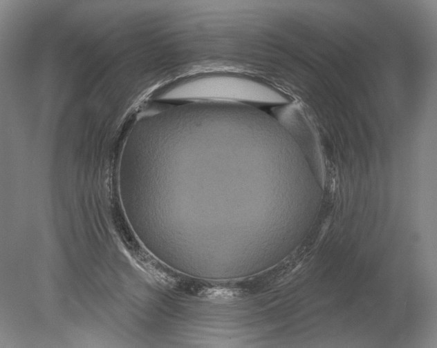 X0000080770352200701051308