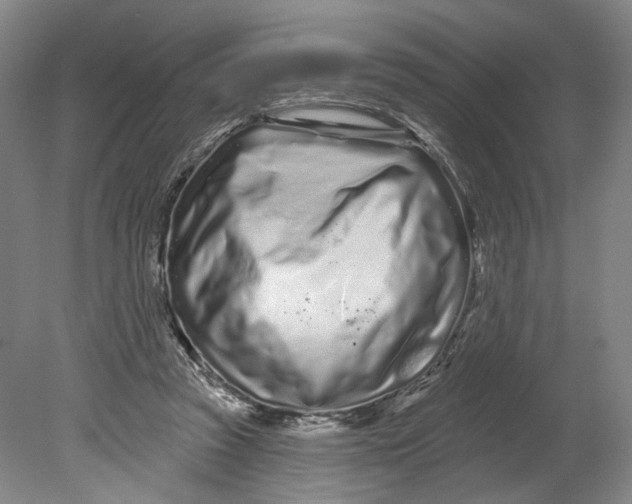 X0000080770353200701051308