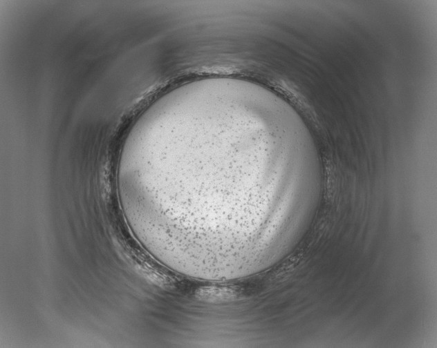 X0000080770354200701051308