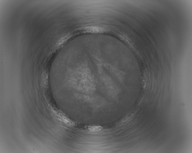 X0000080770355200701051308