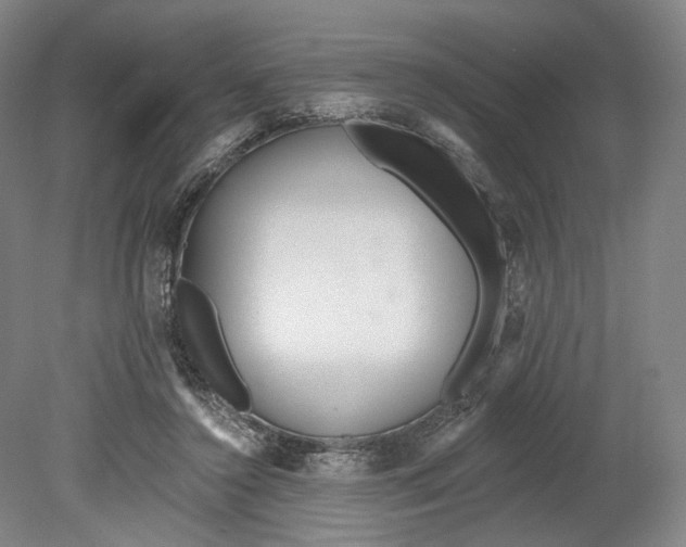 X0000080770356200701051308