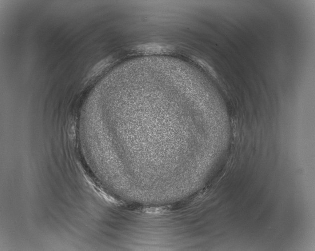 X0000080770357200701051308