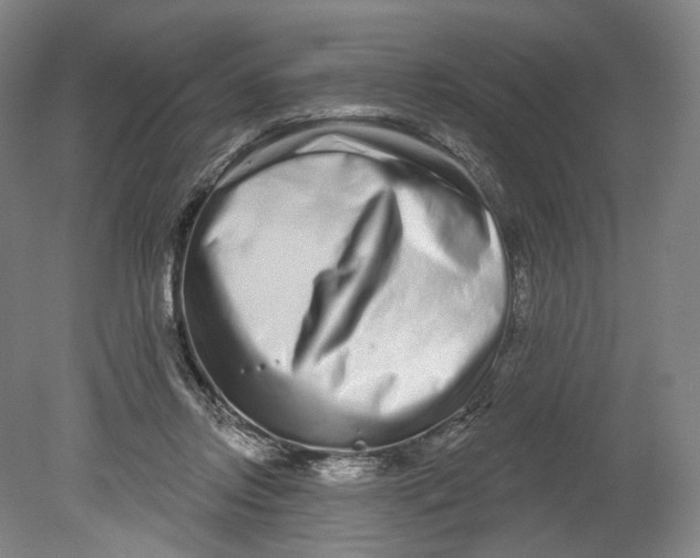 X0000080770358200701051308