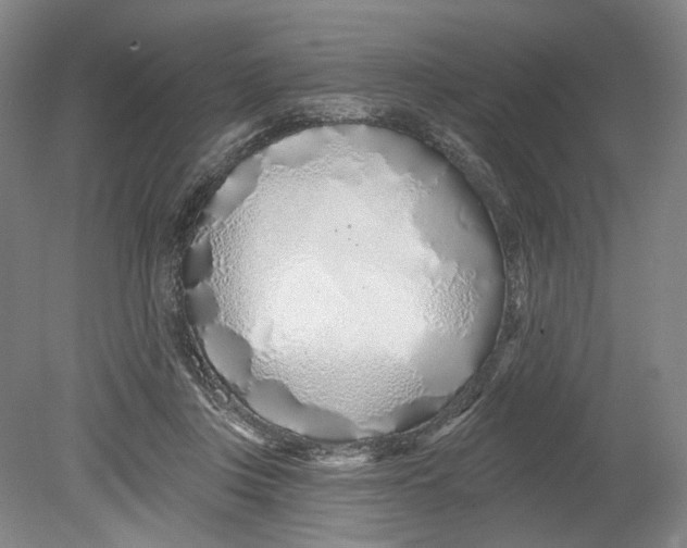 X0000080770359200701051308