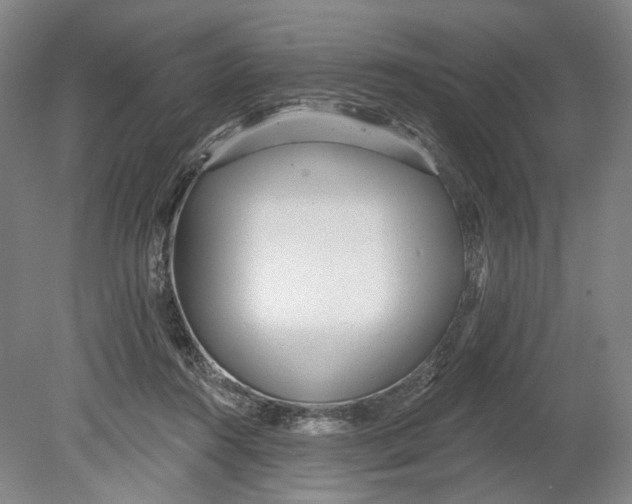 X0000080770360200701051308