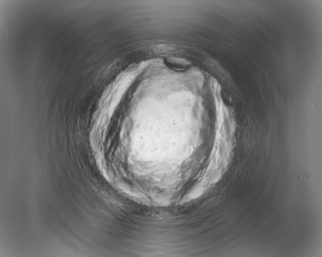 X0000080770361200701051308