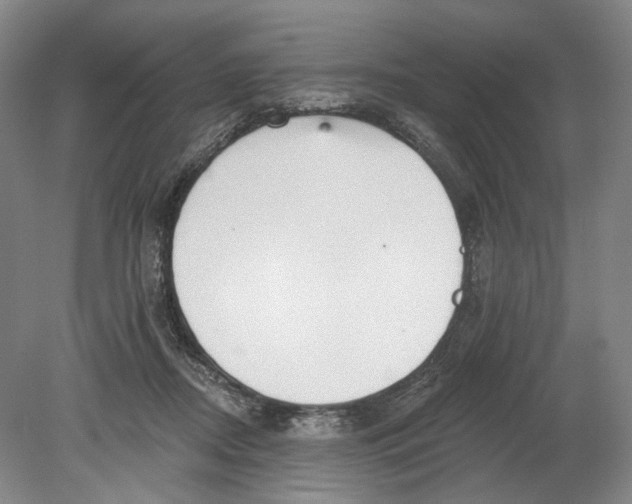 X0000080770362200701051308