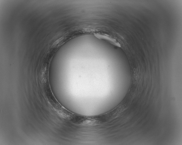 X0000080770364200701051308