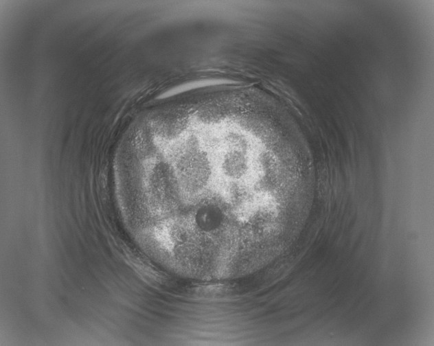 X0000080770365200701051308