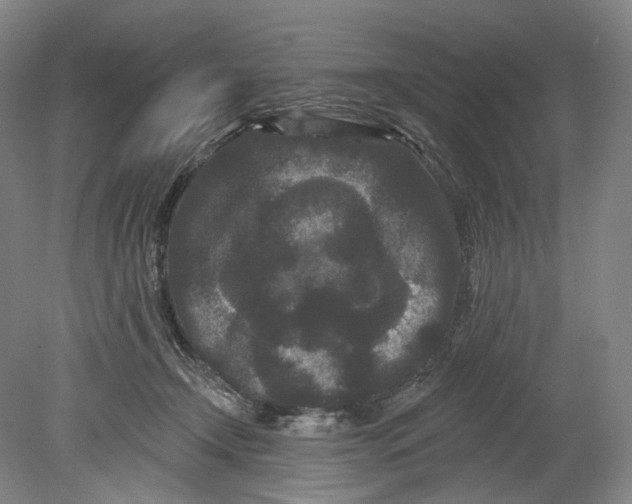 X0000080770366200701051308