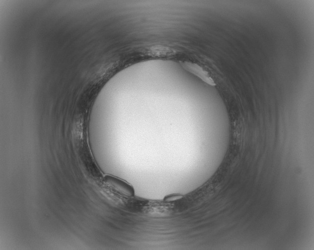 X0000080770368200701051308