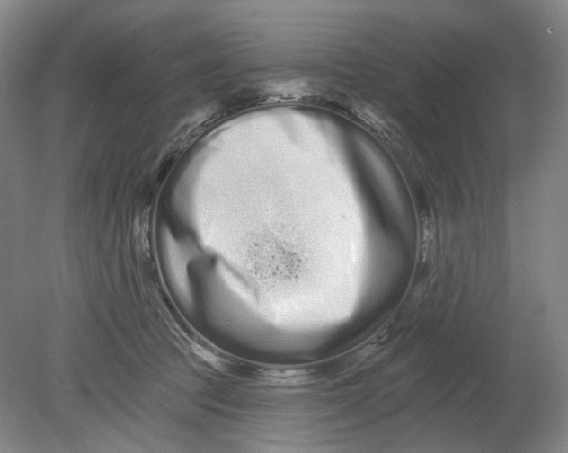 X0000080770369200701051308