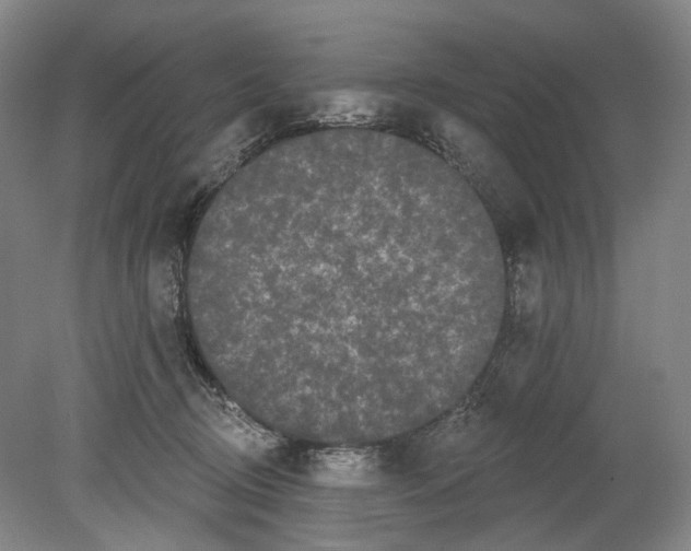 X0000080770370200701051308