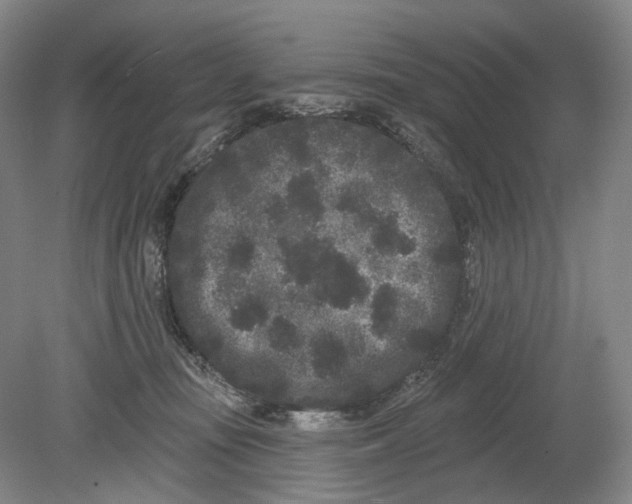 X0000080770371200701051308