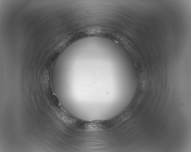 X0000080770372200701051308