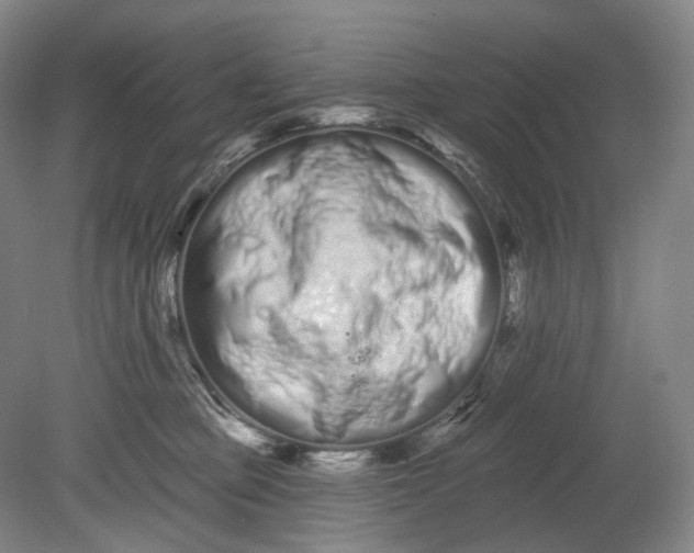 X0000080770373200701051308