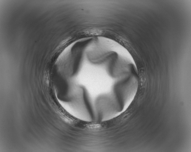 X0000080770374200701051308