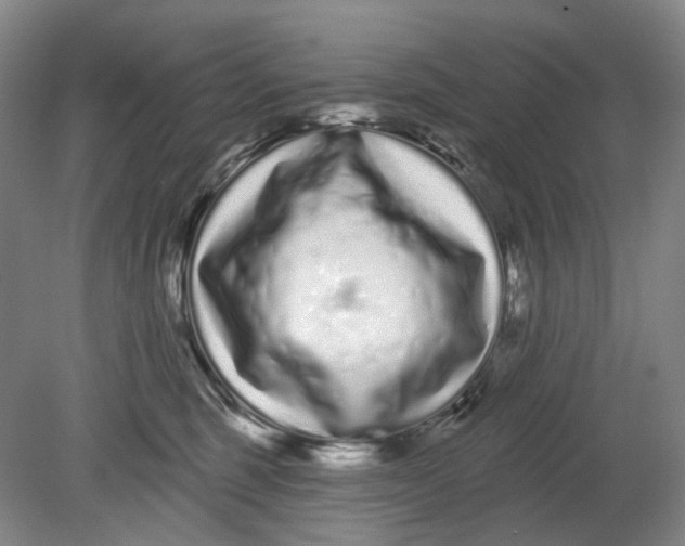 X0000080770375200701051308