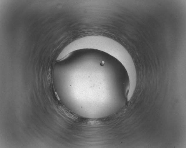 X0000080770376200701051308