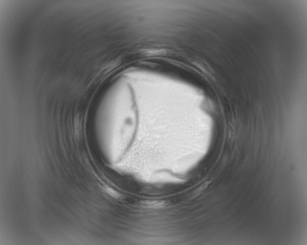 X0000080770377200701051308