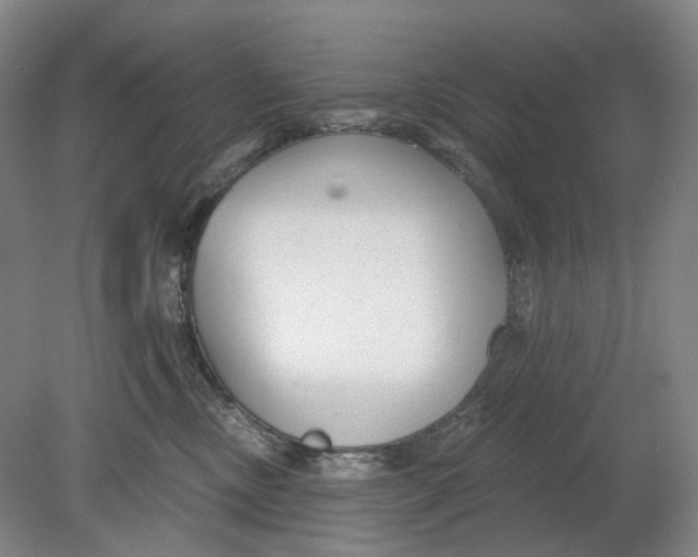 X0000080770378200701051308