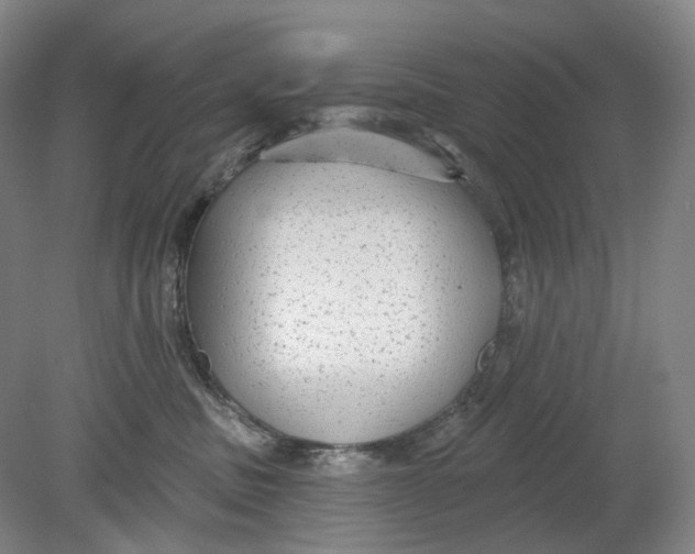 X0000080770379200701051308